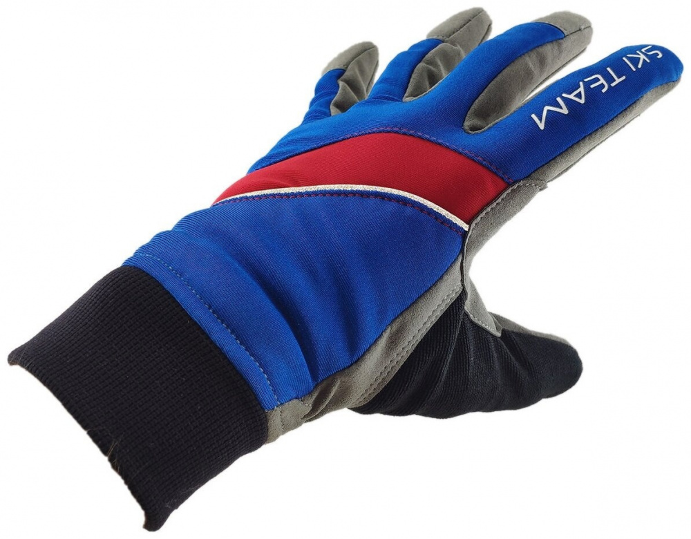 Перчатки VIPSPORT Classic (синий, красный)